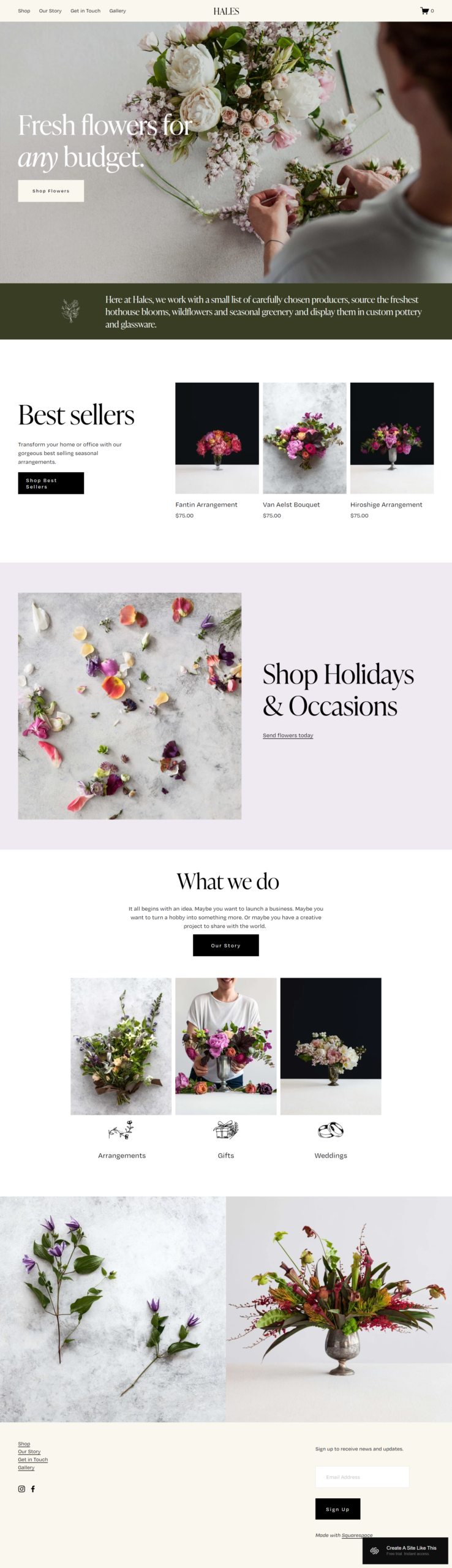 Squarespace website design sample 6