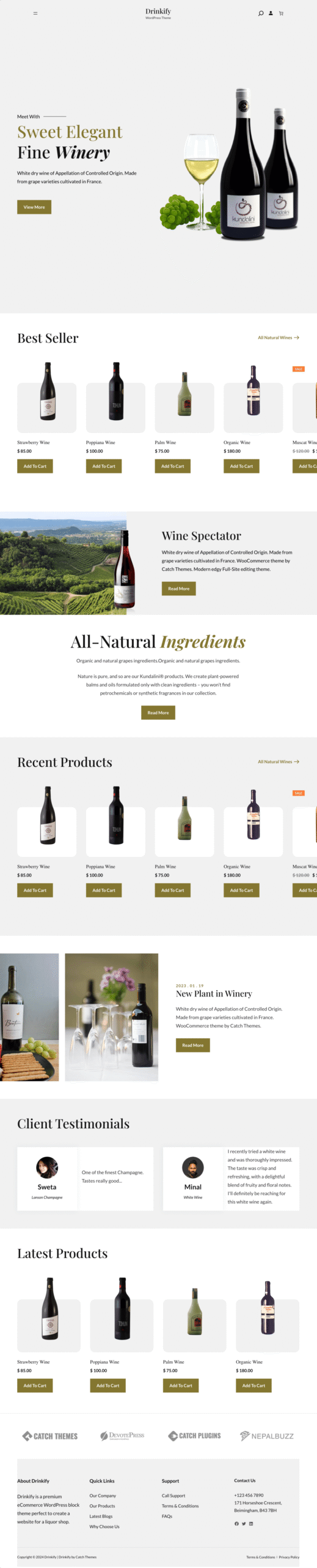 WordPress website design sample 4