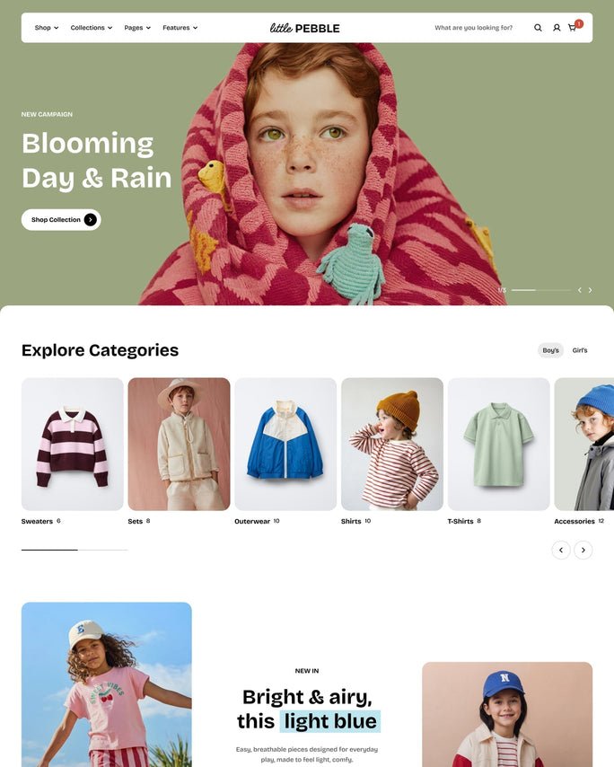 Shopify website design sample 5